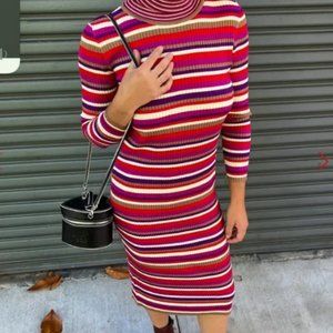 Lisa Says Gah Virgine Stripe Long Sleeve Ribbed Turtleneck Midi Dress Hibiscus